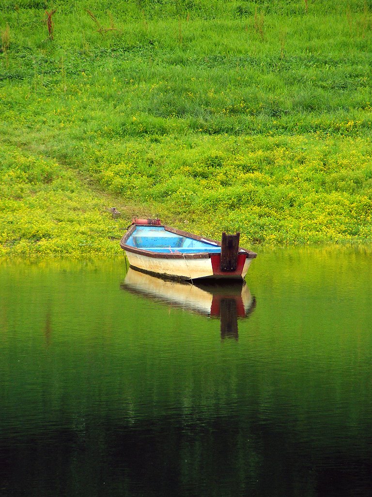 Boat by jadranko markoč