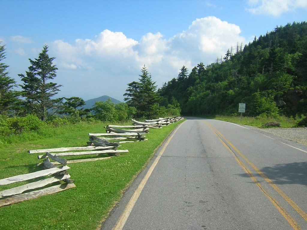 Mount Mitchell State Park, Looking South From Entrance, 6-27-2009 by Kyle Stephen Smith