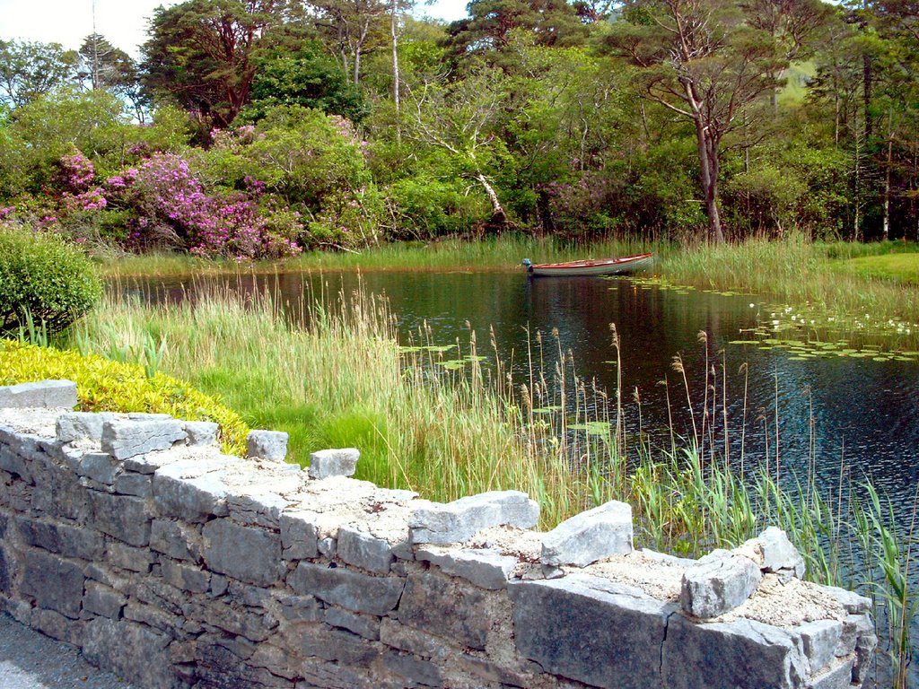 Near Kylemore Abbey, Ireland by Theo Loebig