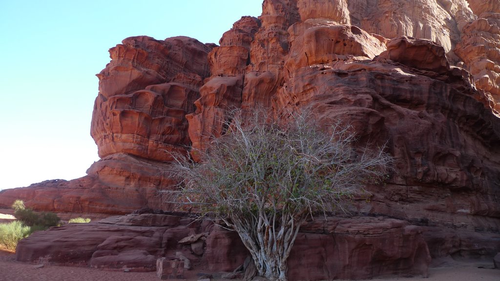 Wadi rum merveille de la nature by brosse-ravat jacquel…