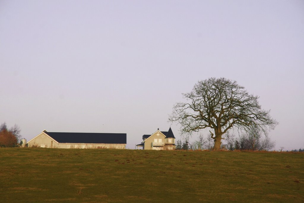 Hus, Gl. Laven by Per Bjarne Pedersen