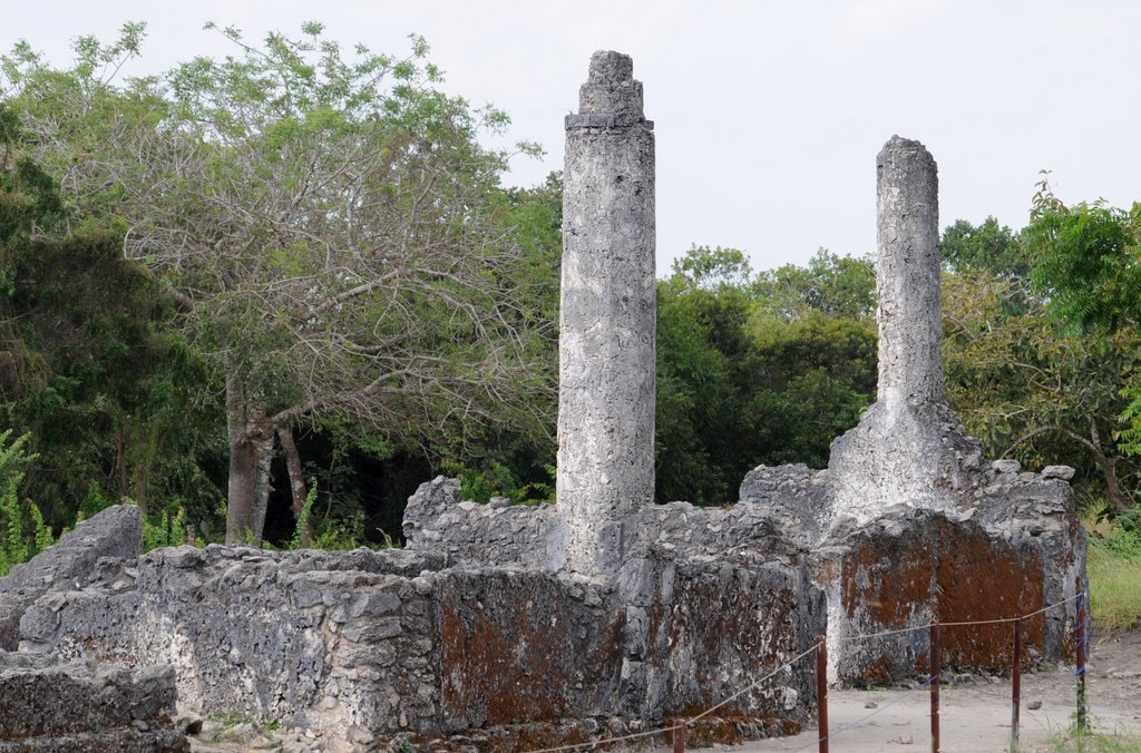 Marché des esclaves Kaole Ruins by letaon