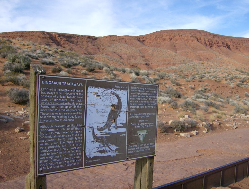 Dinosaur Tracks Information Sign by photophat