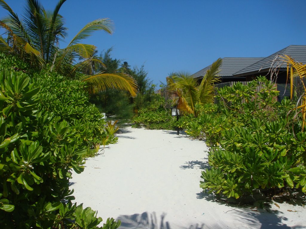 Lhaviyani Atoll, Maldives by Matthew&Sally