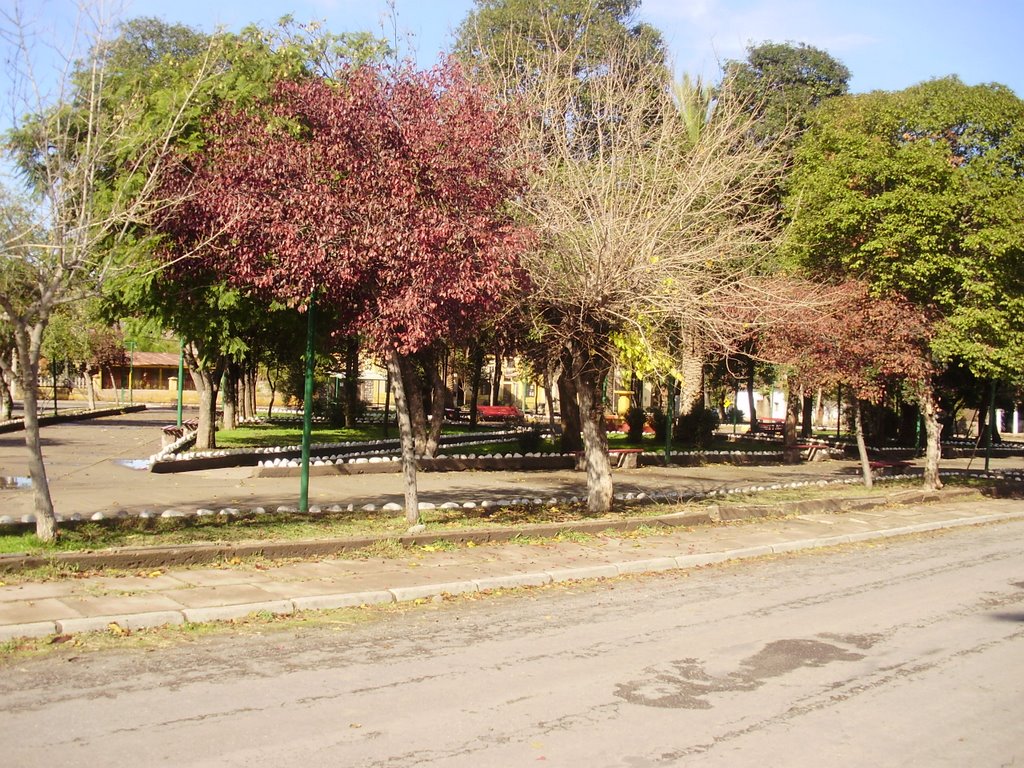 Plaza de Rinconada de Silva by Víctor Casas Paiva