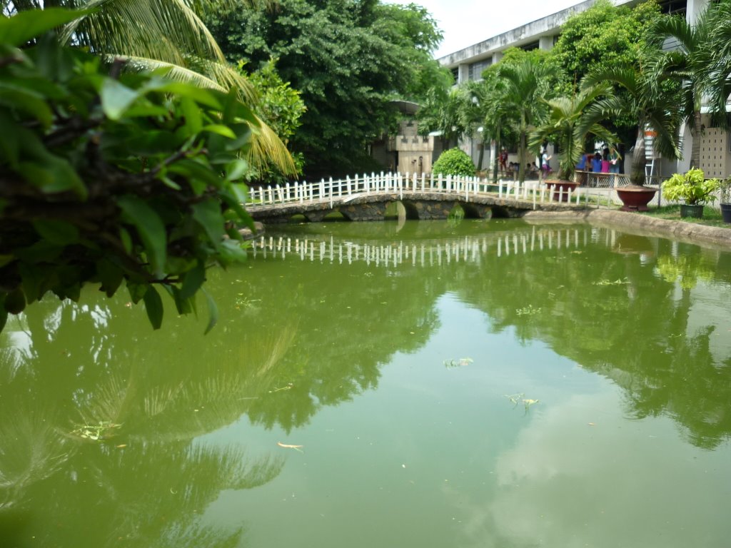 Bóng Cây Trên Hồ by Nguyễn Đức