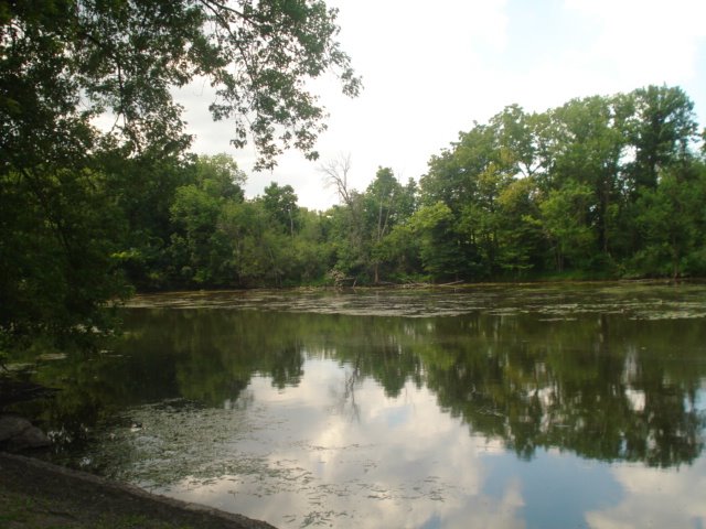 View of River left by BrandonS