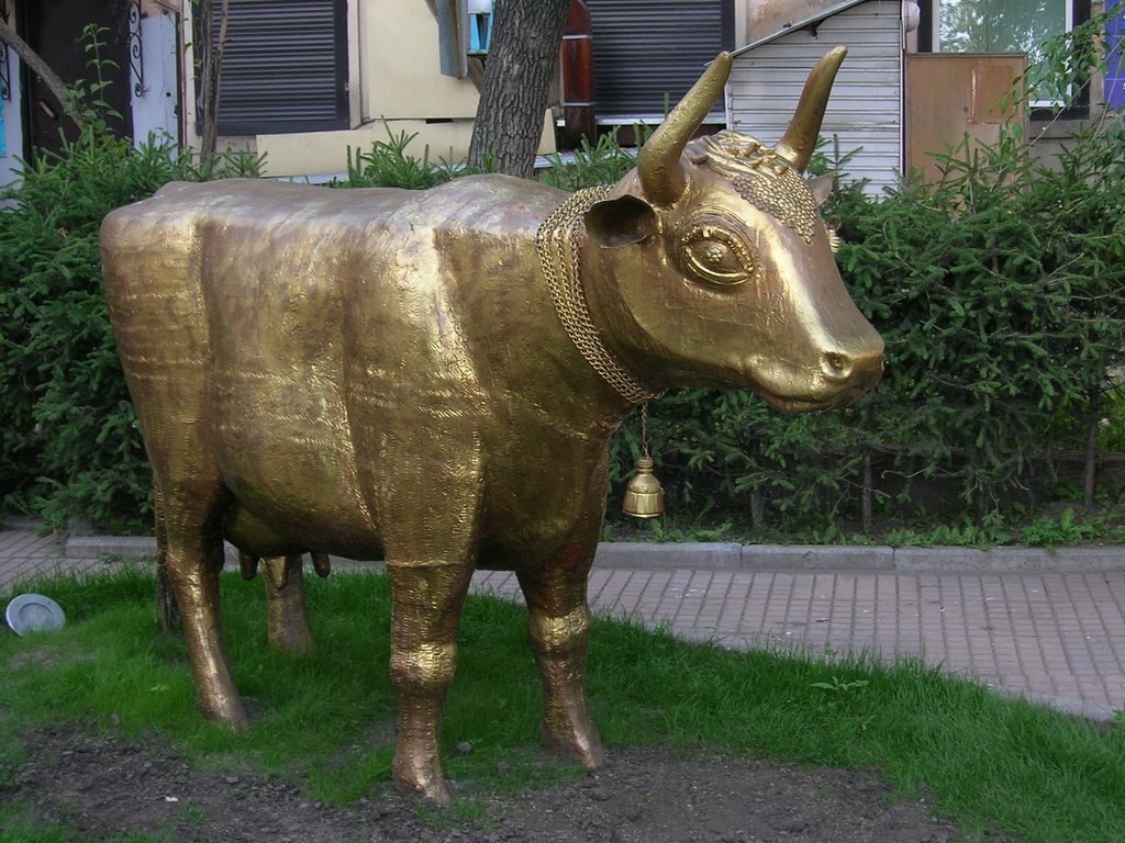 Russia, Irkutsk, Golden Cow / Россия, Иркутск, Золотая Корова by Vladimir Kharitonov