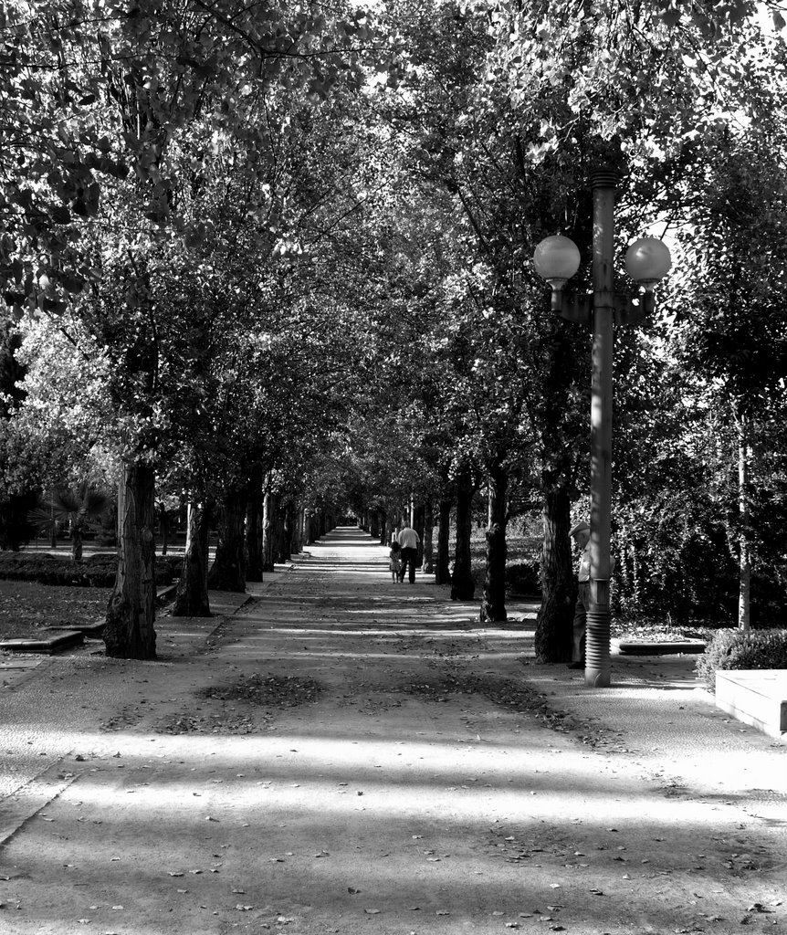 Paseo Parque García Lorca by _Yavi_