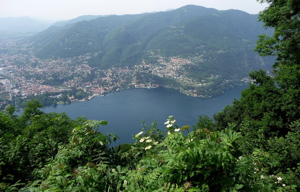 Uno scorcio del Lago di Como e panorama di Cernobbio dal Monte Boletto (CO) by Ilda Casati