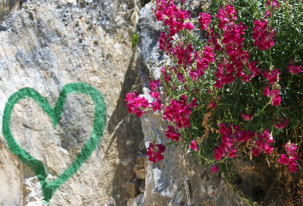 Samos, Manolates by H.-Gerd Brunnert