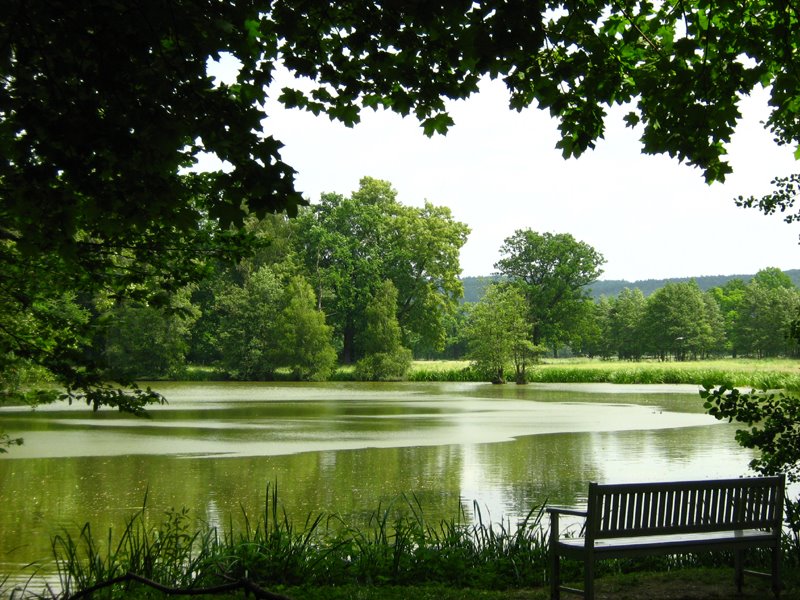 Parkview Waldenburg Germany by Jens S.