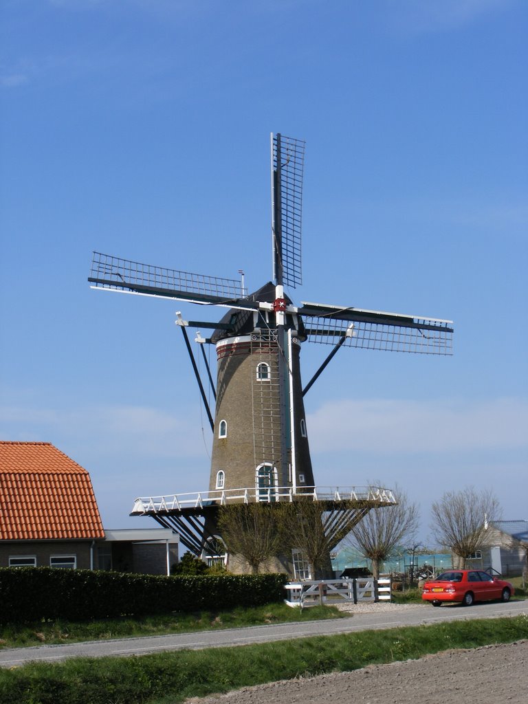 Korenmolen De Nijverheid by luckylou