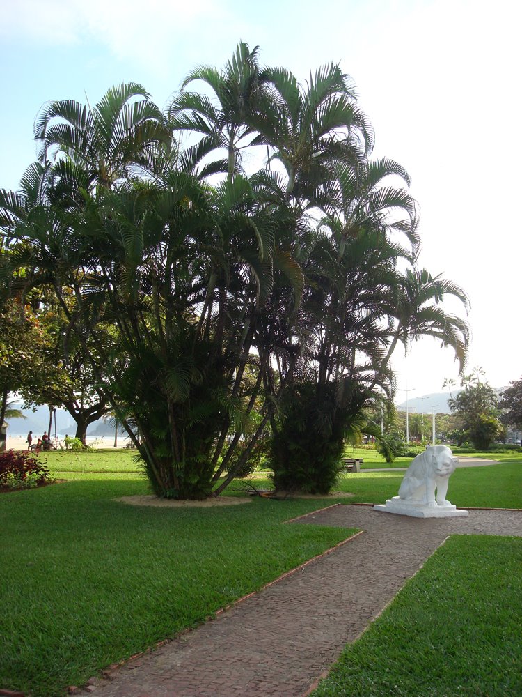 Estatua do Leão na orla da praia do Gonzaga by Elenilda