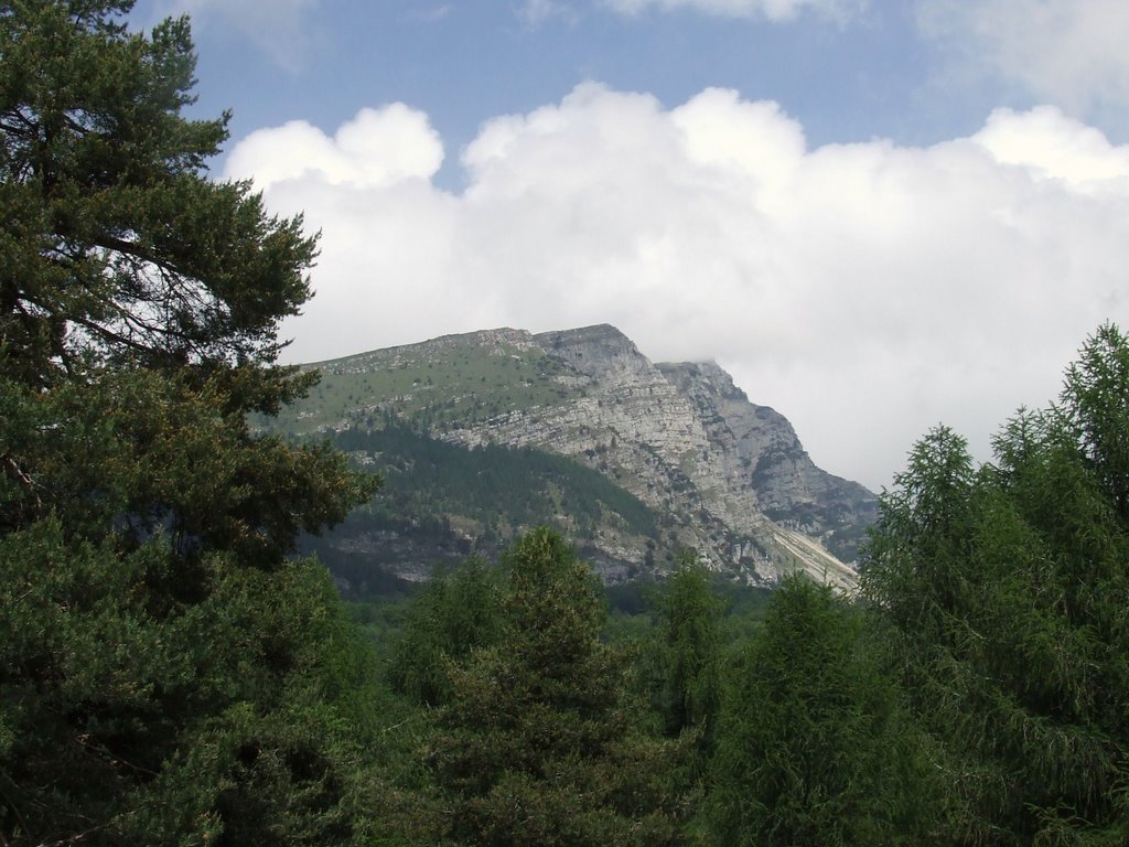 Monte Stivo by Claudio Regaiolli