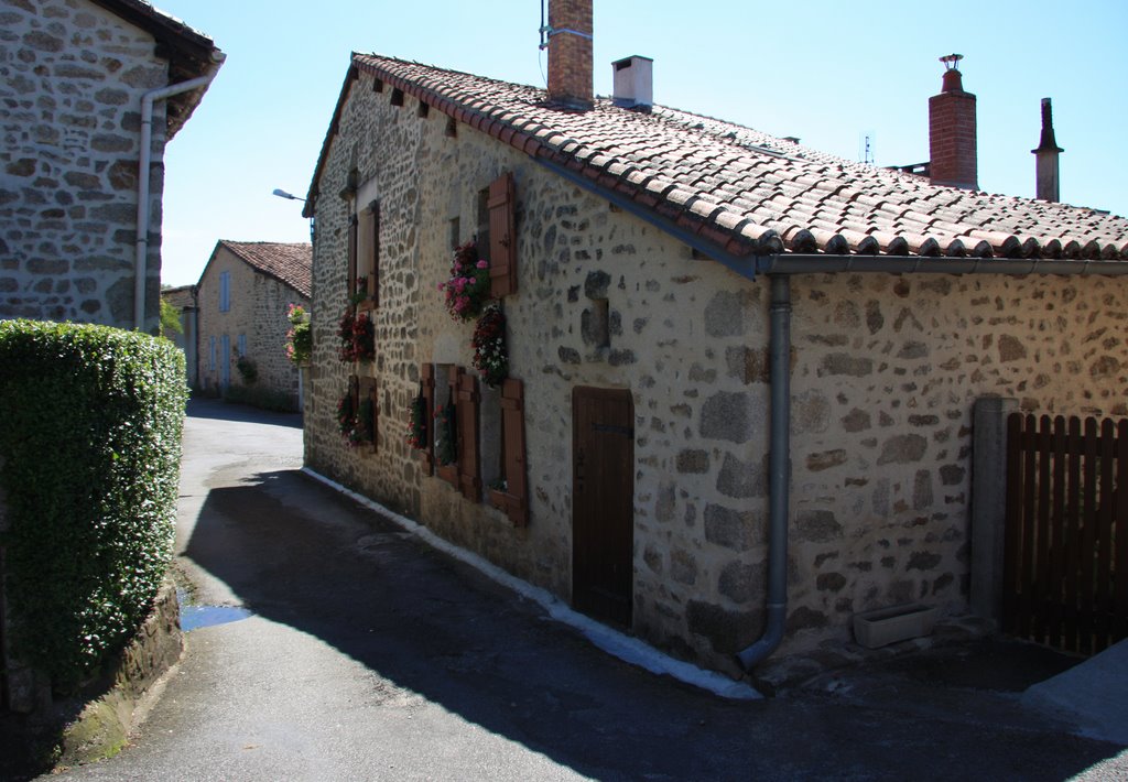 Montrol-Sénard : maisons du Bourg by macrobert