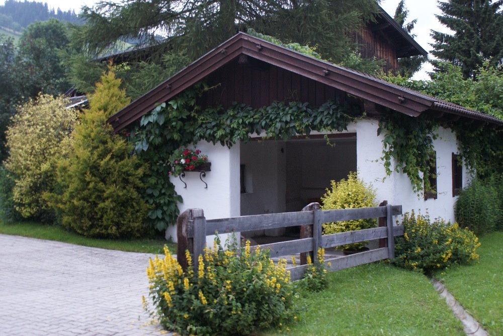 Austrian car garage surrounded by vines by caitdyn