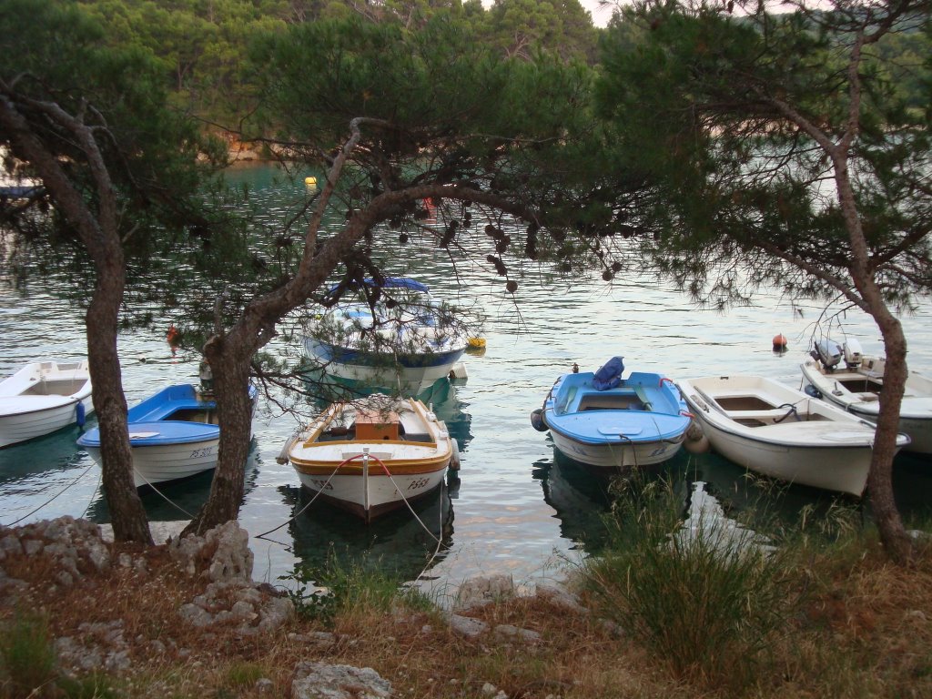 Općina Primošten, Croatia by EAdamczyk