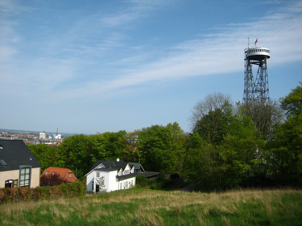 Aalborg tower by ladybird88