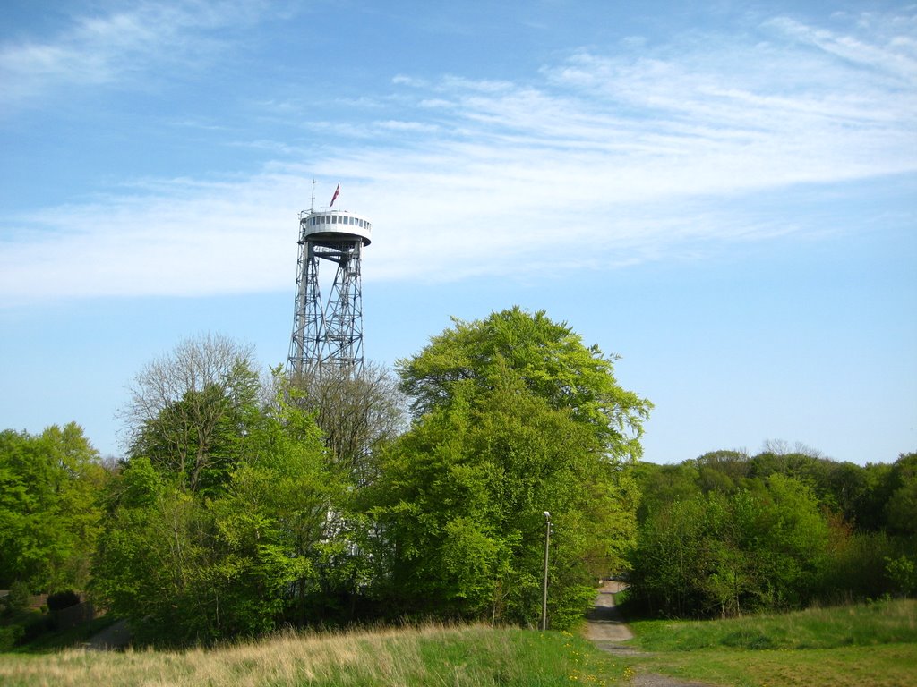 Aalborg tower by ladybird88