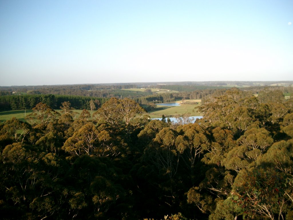 View from Glouchester Tree by rolf zschunke