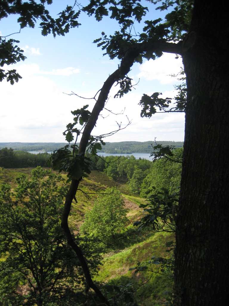 View from Himmelbjerg by ladybird88