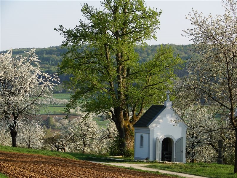 Kapelle bei Pretzfeld by Plumperquatsch