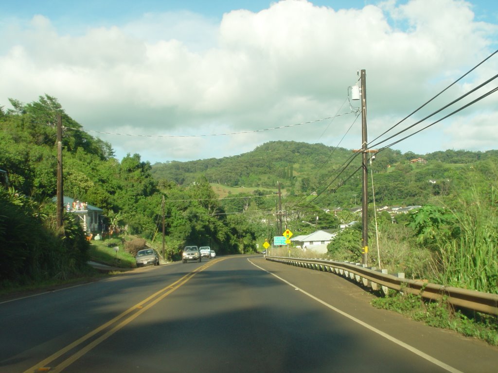 Lawai by Michael Kauai