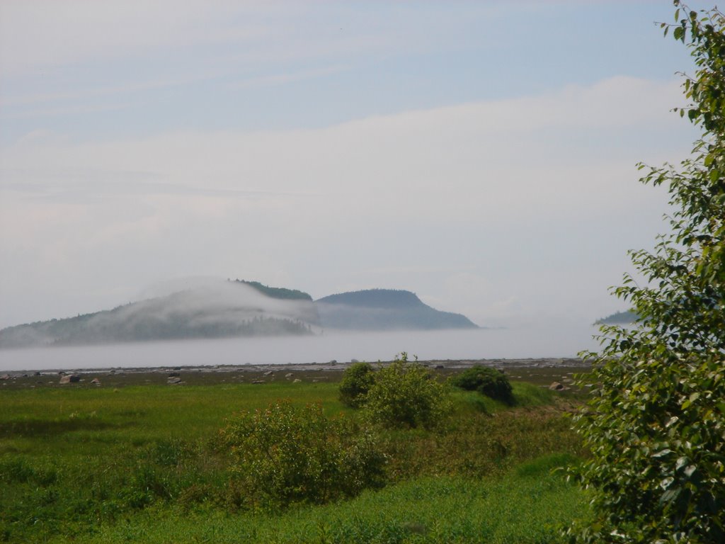 Parc du Bic by Denis Bernier