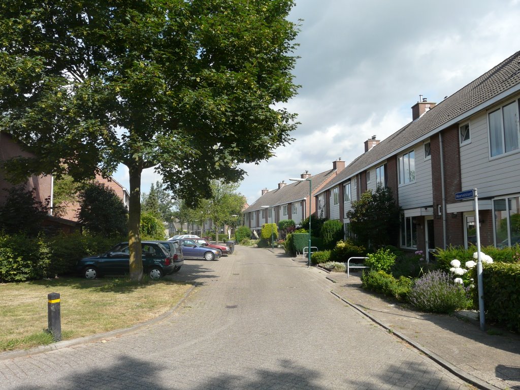 De Meervalsloot, zicht op noordwesten, Houten by David Jimmink