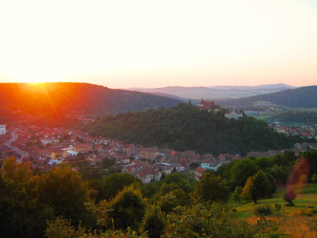 Sighisoara Hill by AlexRo