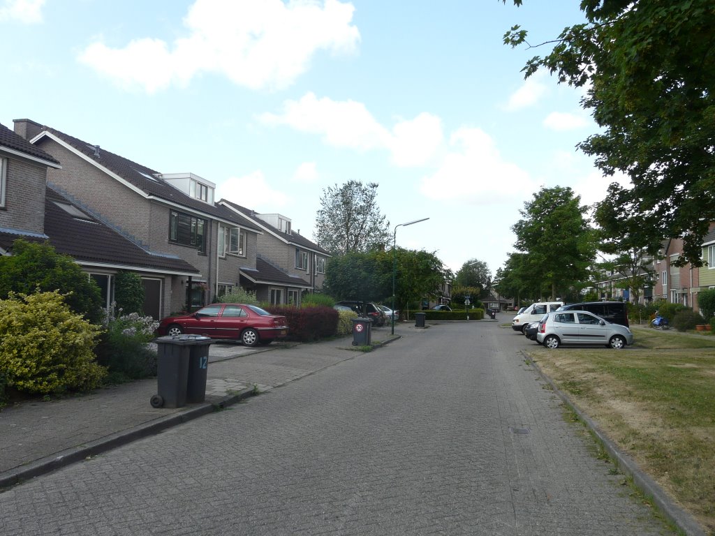 De Snoeksloot, zicht op zuidwesten, Houten by David Jimmink