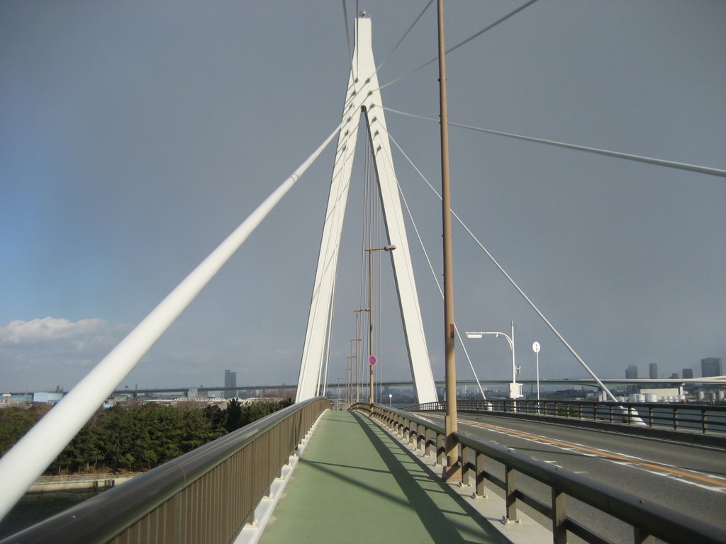 Tsuneyoshi-ohashi Bridge by Nagono