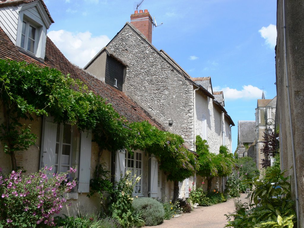 St Dyé sur Loire (Loir-et-Cher) by Naru Kenji