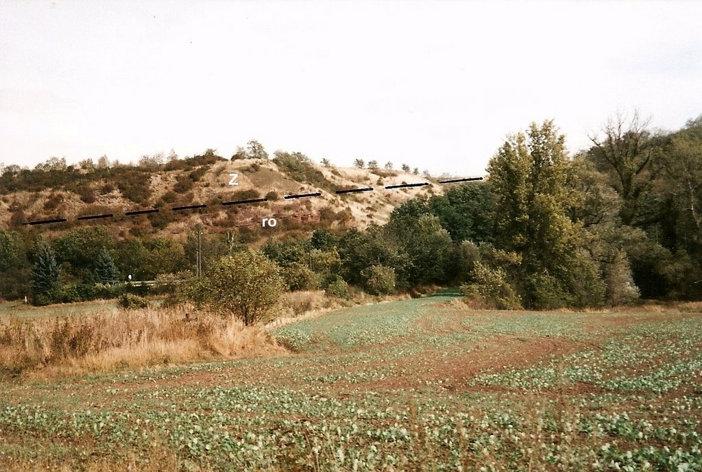 Nelbener Grund, westl. Könnern by matmicpic