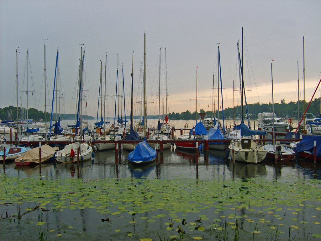 Hafen Scharfe Lanke by tumblr.tk