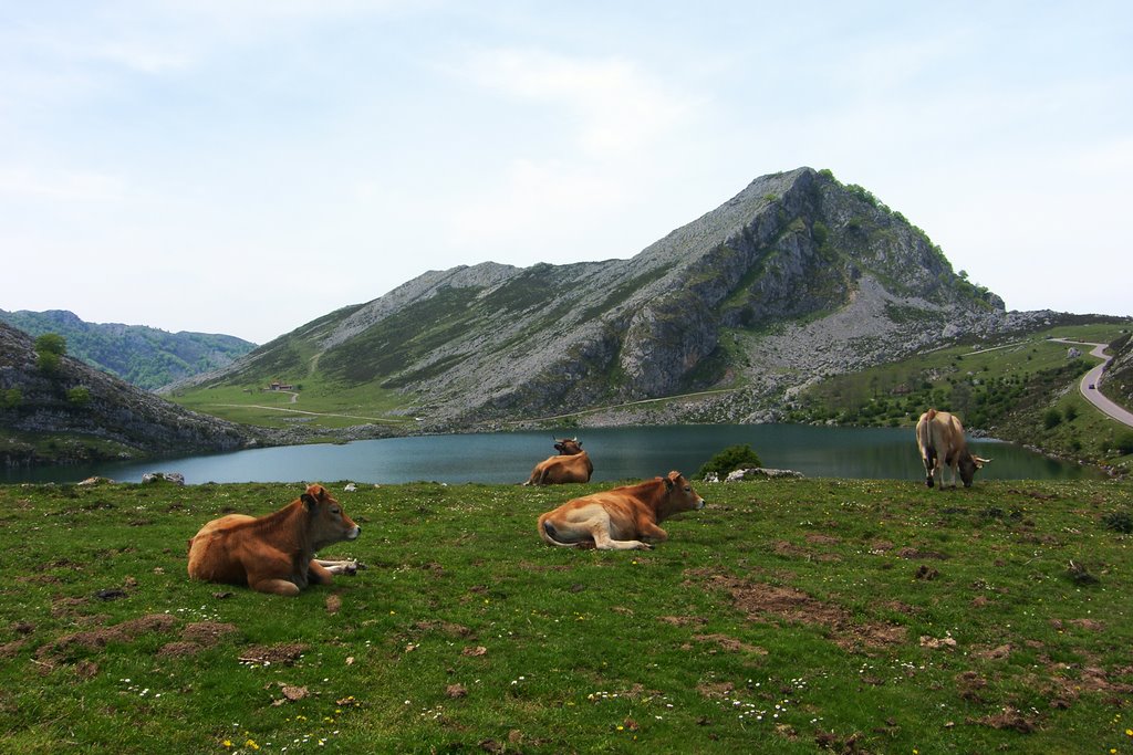 Lago Enol by Mauro Serafini