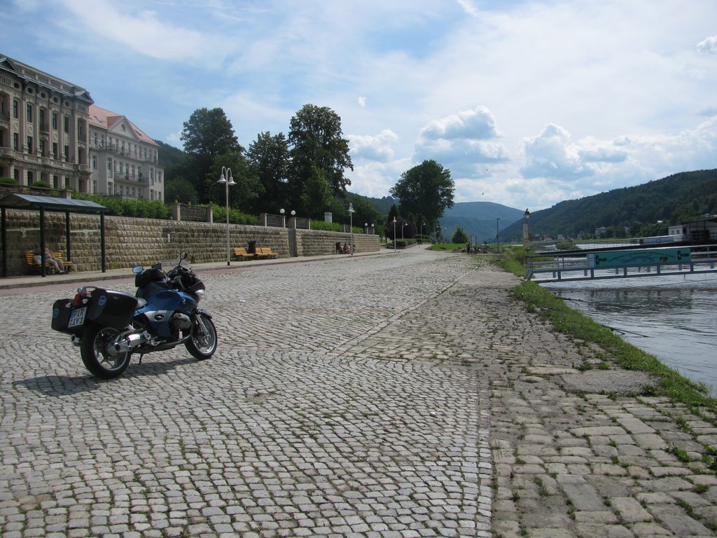 Bad Schandau am Elbeparkplatz by Scania Katze