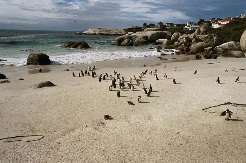 Simon´s Town - Cape Town - 2001 by Ole Holbech