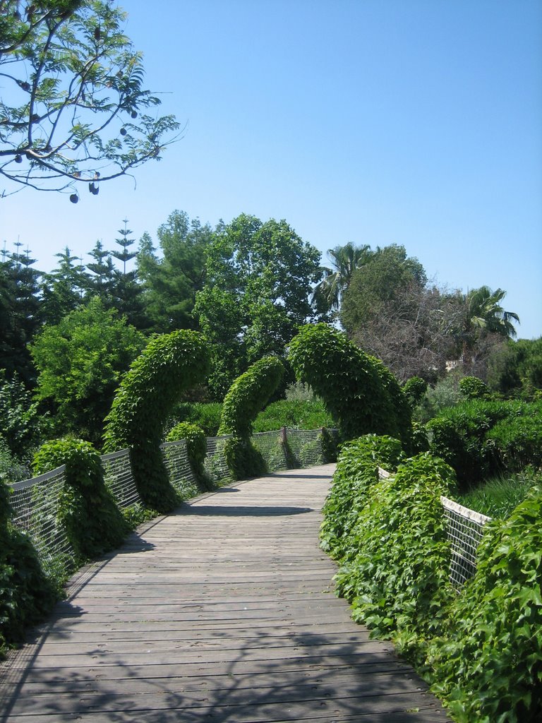 Parc Phoenix by Jeremy Bourgouin