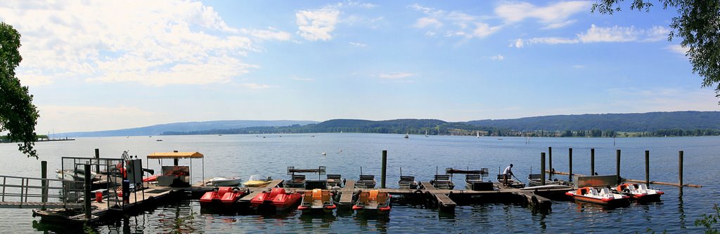 Freevision >> Panorama Bodensee bei Radolfzell << by freevision