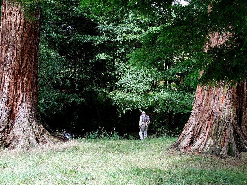 Albury Estate by Nick Todaro