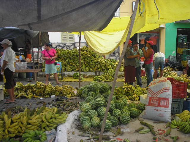 A seção de frutas regionais da feira de São Bento do Una, Pernambuco, Brazil by Orlando de Almeida C…