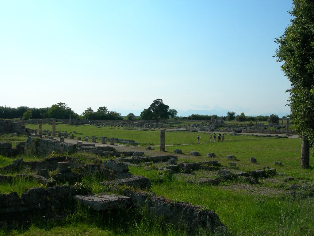 Paestum:zona templi by Anthony s