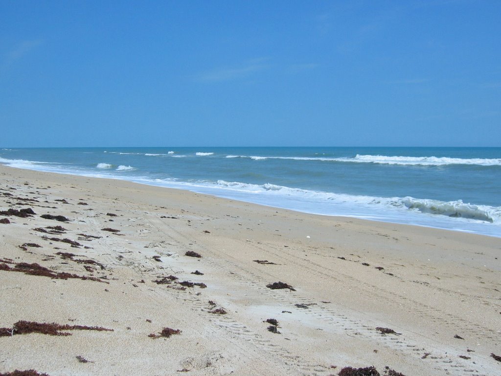 Canaveral National Seashore by xirtam