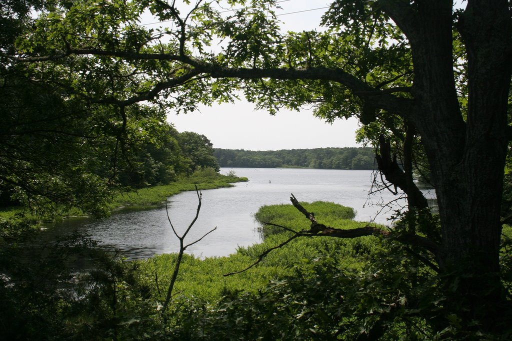 Cape Cod Rail Trail by msnyder