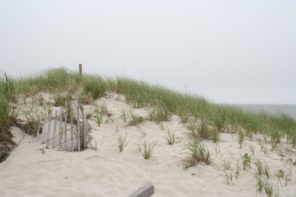 Dune on Cape Cod by msnyder