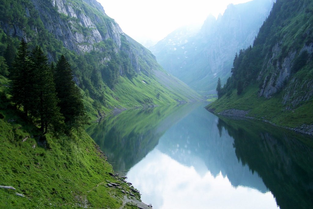 Fällensee, reflections by Fernand Metzger