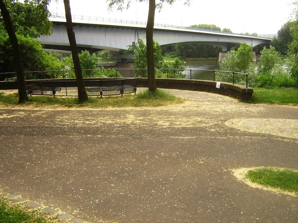 Reinaue Park and Konrad Adenauer‏ Bridge by ekeidar