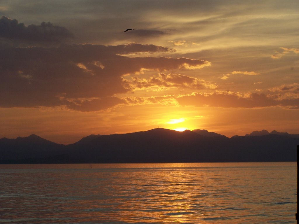 Sonnenuntergang am Gardasee by Lauber,S.